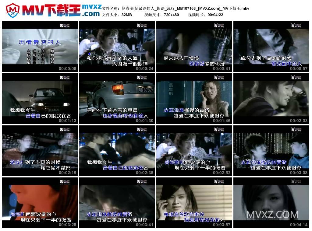 赵真-用情最深的人_国语_流行_MB107163
